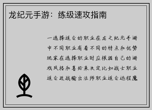 龙纪元手游：练级速攻指南